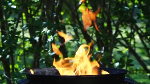 Riesige Flammen auf Grill-Video ohne Menschen — Stockvideo