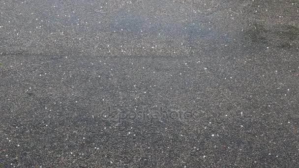 Hailing no asfalto escuro e molhado no verão — Vídeo de Stock