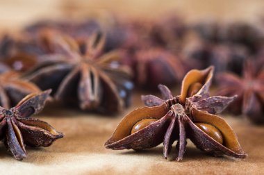 yıldız anason arka plan