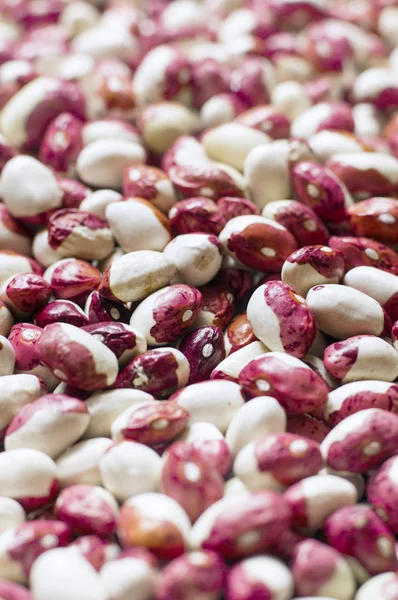 白と赤豆 — ストック写真