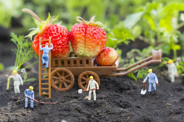 Farming toy people — Stock Photo, Image