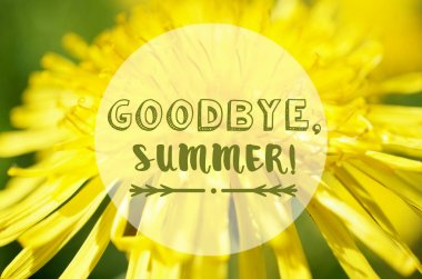 Karahindiba foto kartpostal