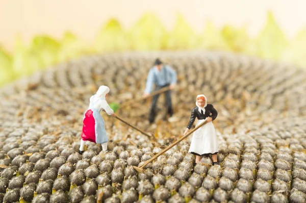 Oyuncak tarım insanlar