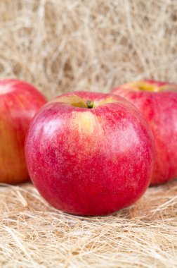 Saman rustik arka plan üzerinde taze olgun elma.