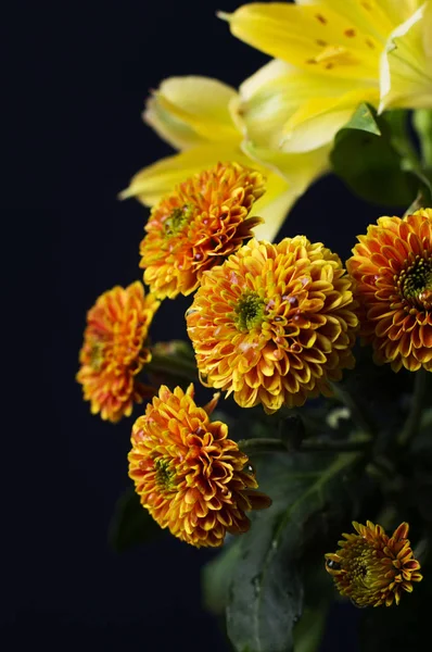 Een Foto Van Lelies Chrysant Bloemen Tegen Zwarte Achtergrond Chrysanten — Stockfoto