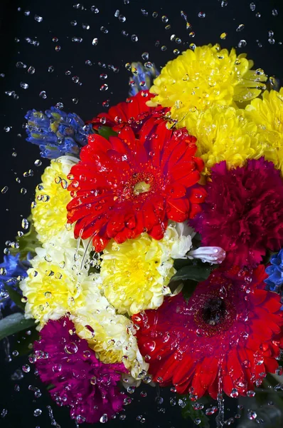 Ein Foto Von Einem Strauß Bunter Blumen Vor Schwarzem Hintergrund — Stockfoto