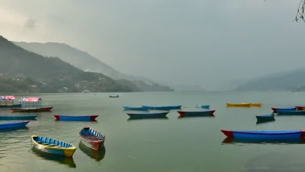 尼泊尔博克拉费瓦湖 — 图库视频影像
