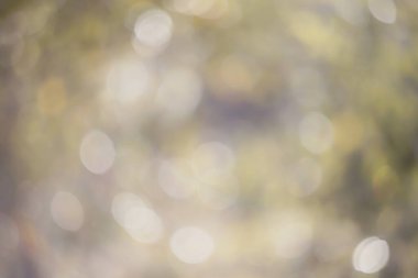 Doğal ortamda güzel renkli bokeh..