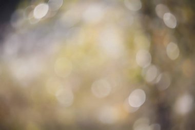 Doğal ortamda güzel renkli bokeh..