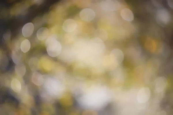 Mooie gekleurde bokeh in een natuurlijke omgeving. — Stockfoto