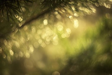 Güzel bokeh 'li şenlikli bir arka plan.