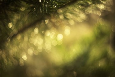 Güzel bokeh 'li şenlikli bir arka plan.