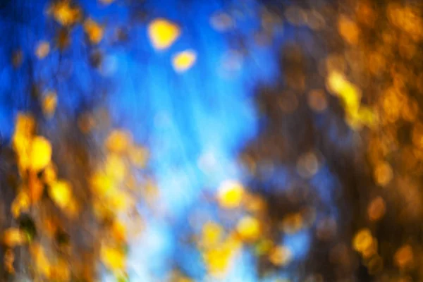 Krajobraz jesiennych liści z błękitnym tle nieba — Zdjęcie stockowe