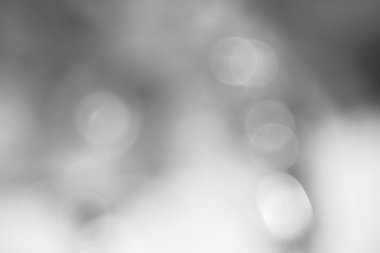 Tarafsız gri bokeh yumuşak odak. 