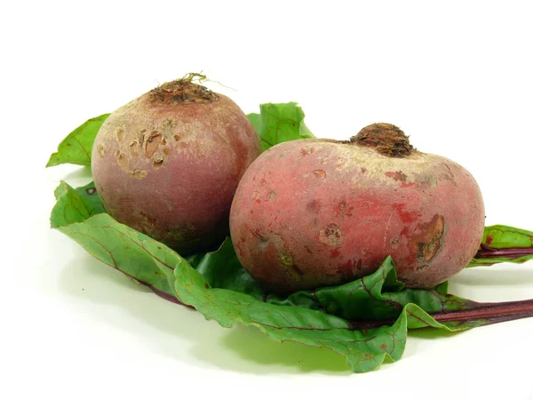 Turnips chioggia na moda — Fotografia de Stock