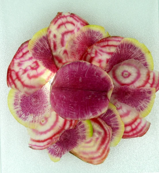 Beterraba chioggia fresca — Fotografia de Stock