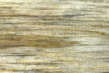 ahşap rustik meşe arka plan