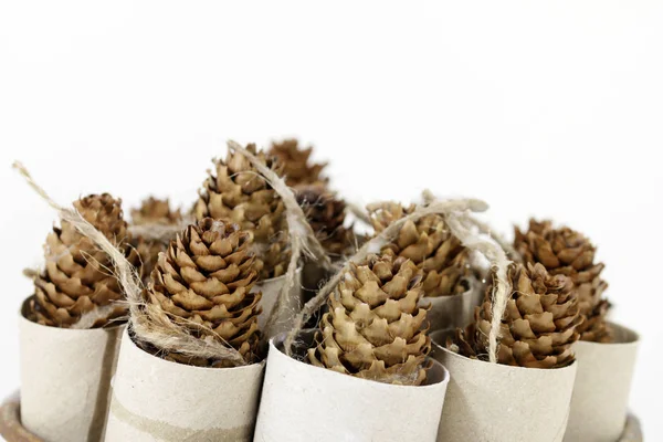 Fire Starter Made Cones Cardboard Wax — Stock Photo, Image