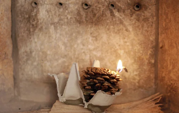 Натуральний Світлячок Конусів Воску Картону — стокове фото
