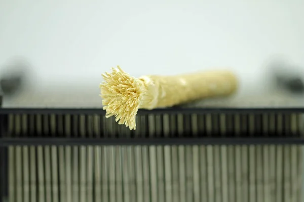 東洋の伝統的な歯ブラシ — ストック写真