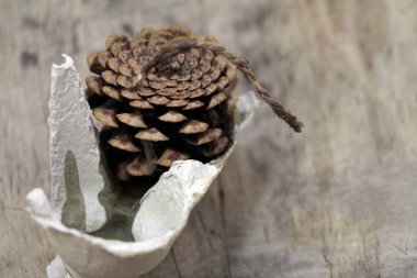 Konilerden, balmumundan ve kartondan yapılmış doğal bir ateşleyici.