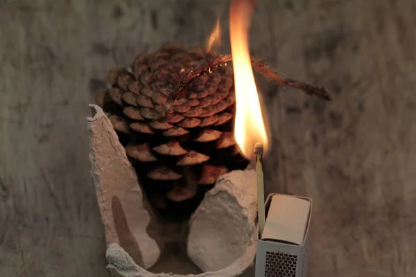 Natural Firelighter Made Cones Wax Cardboard — Stock Photo, Image