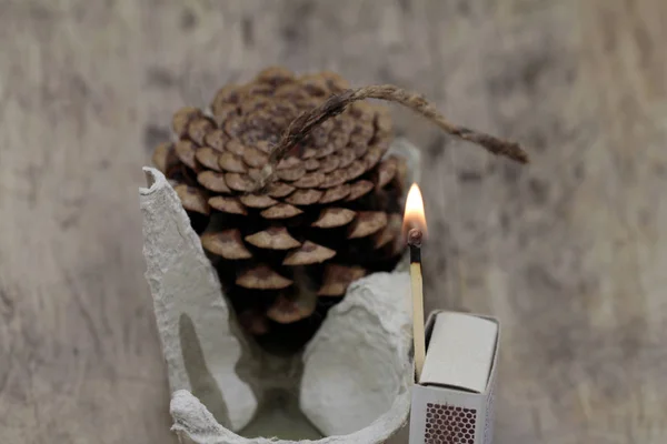 Naturfeuerzeug Aus Zapfen Wachs Und Karton — Stockfoto