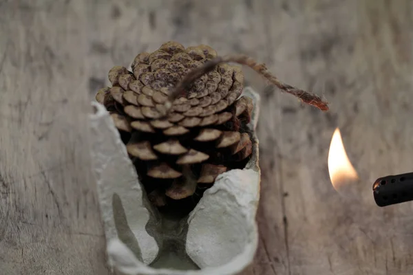 Naturfeuerzeug Aus Zapfen Wachs Und Karton — Stockfoto