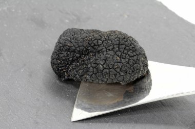 Siyah yaz trüf mantarı.