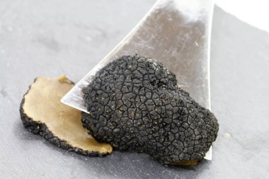 Siyah yaz trüf mantarı.