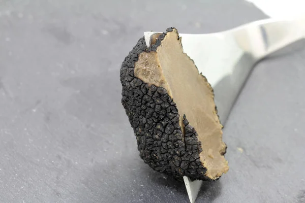 Tartufo Nero Estivo Dettaglio — Foto Stock