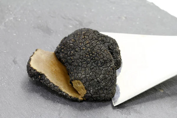 Tartufo Nero Estivo Dettaglio — Foto Stock