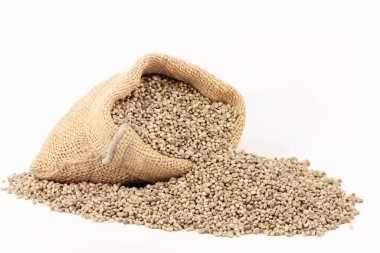 sanayi kenevir tohumları, thc olmadan