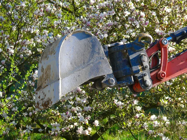 Pause Auf Der Baustelle Die Natur Blüht — Stockfoto