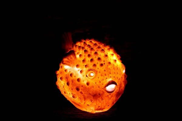 Creativ Inflated Ball Fish Solar Lamp — Stock Photo, Image