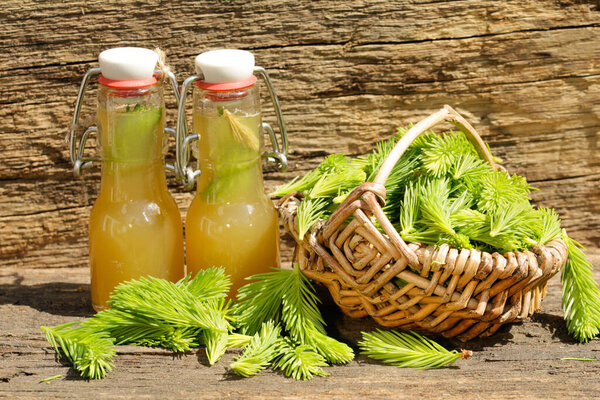 spruce tops syrup in herbal medicine