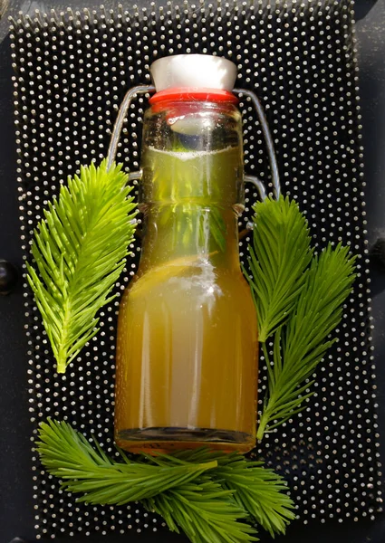 Spruce Tops Syrup Herbal Medicine — Stock Photo, Image