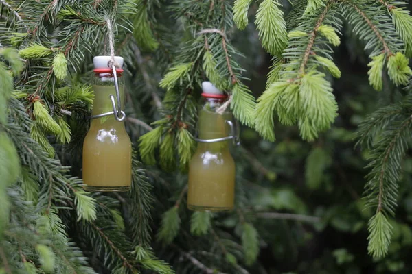 Spruce Tip Syrup Winter — Stock Photo, Image