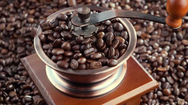 Roasted Coffee Beans Slowly Falling Coffee Grinder — Stock Video
