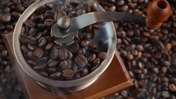 Roasted Coffee Beans Slowly Falling Coffee Grinder — Stock Video