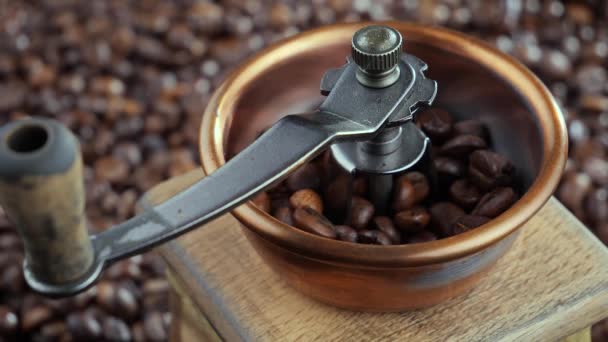 Kavrulmuş Kahve Çekirdekleri Yavaşça Kahve Öğütücüsüne Düşüyor — Stok video
