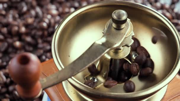 Roasted Coffee Beans Slowly Falling Coffee Grinder — Stock Video