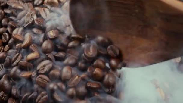 Geröstete Kaffeebohnen Mit Rauch Der Pfanne — Stockvideo