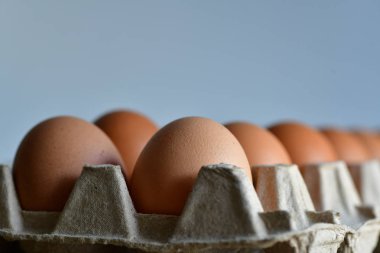 Tavuk yumurtalarını yakın.