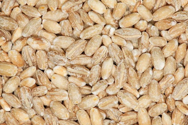 Pearl barley macro background