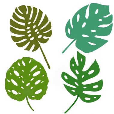 Dört tatlı tropik yapraklar kümesi