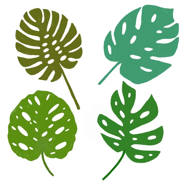 Dört tatlı tropik yapraklar kümesi