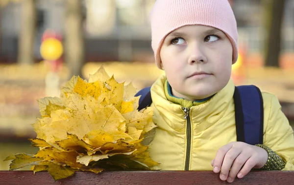 Πορτρέτο ενός μικρού κοριτσιού στο πάρκο φθινόπωρο — Φωτογραφία Αρχείου