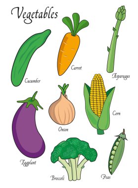 Sebze ayarla salatalık, havuç, kuşkonmaz, patlıcan, brokoli, soğan, bezelye. Beyaz arka plan üzerinde izole vektör çizim