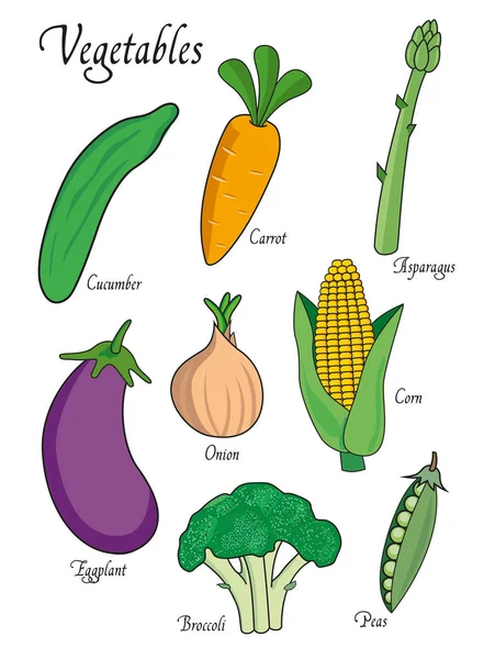 Sebze ayarla salatalık, havuç, kuşkonmaz, patlıcan, brokoli, soğan, bezelye. Beyaz arka plan üzerinde izole vektör çizim